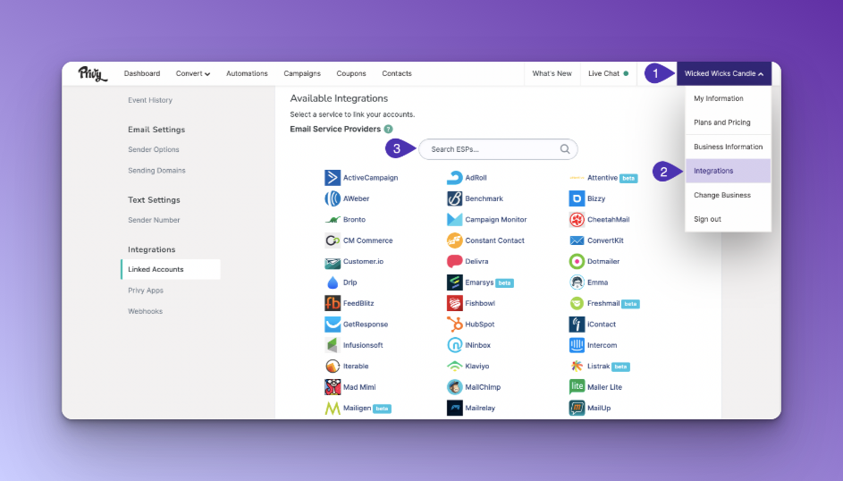 Integrations and ESP choose on Privy dashboard on purple background