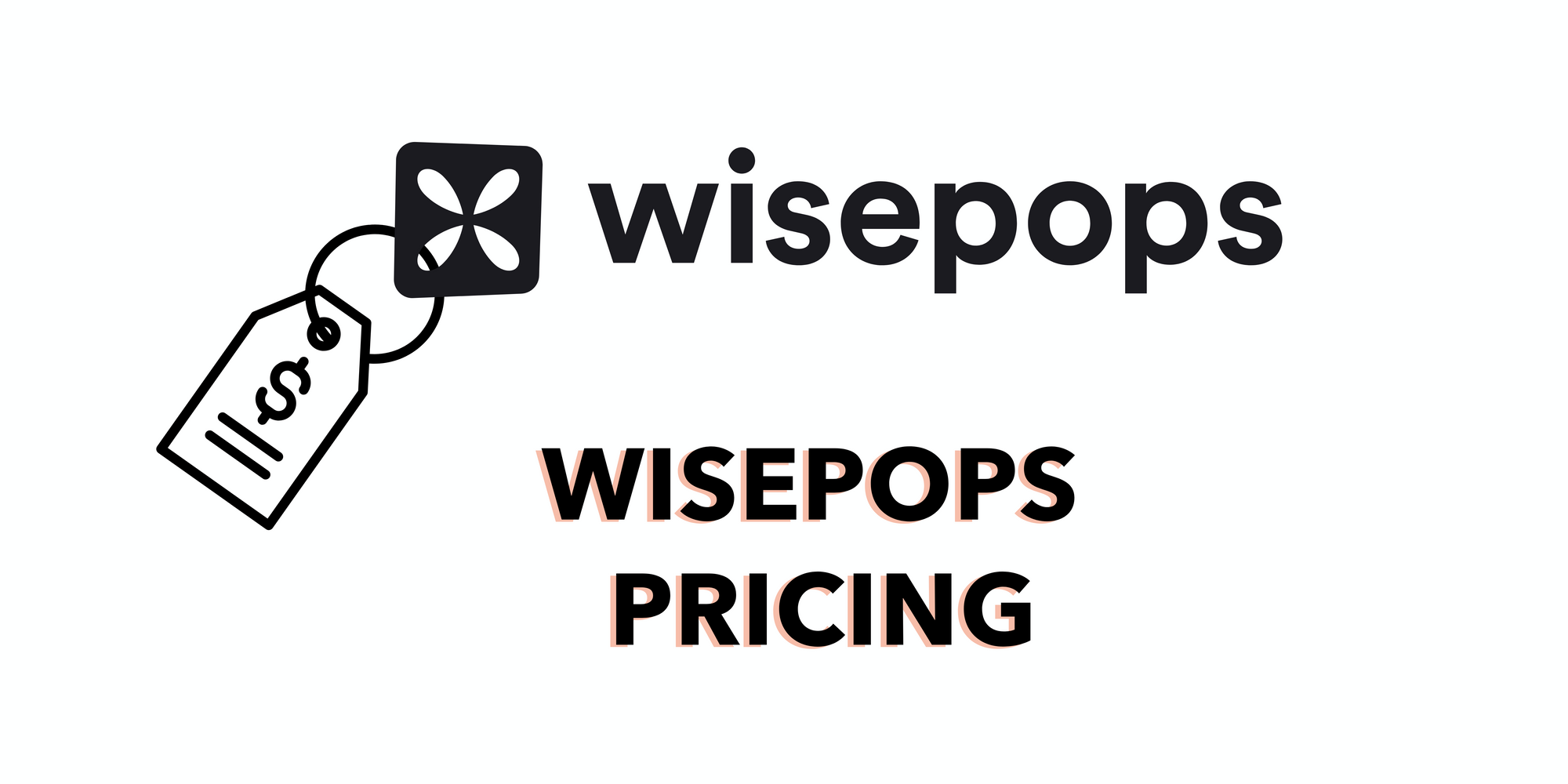 Wisepops icon with price icon to emphasize the pricing plans on white background