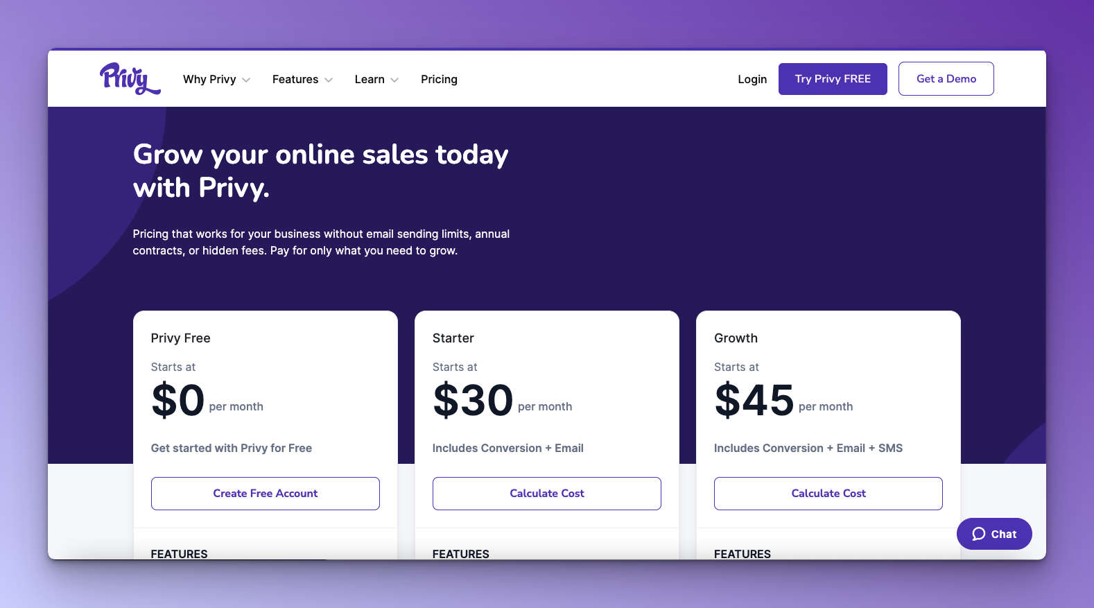 The above-the-fold part of Privy's pricing page