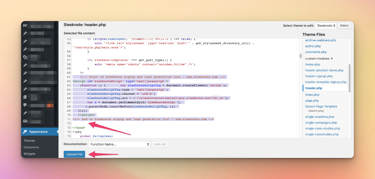 Pasting the code on WordPress header.php section