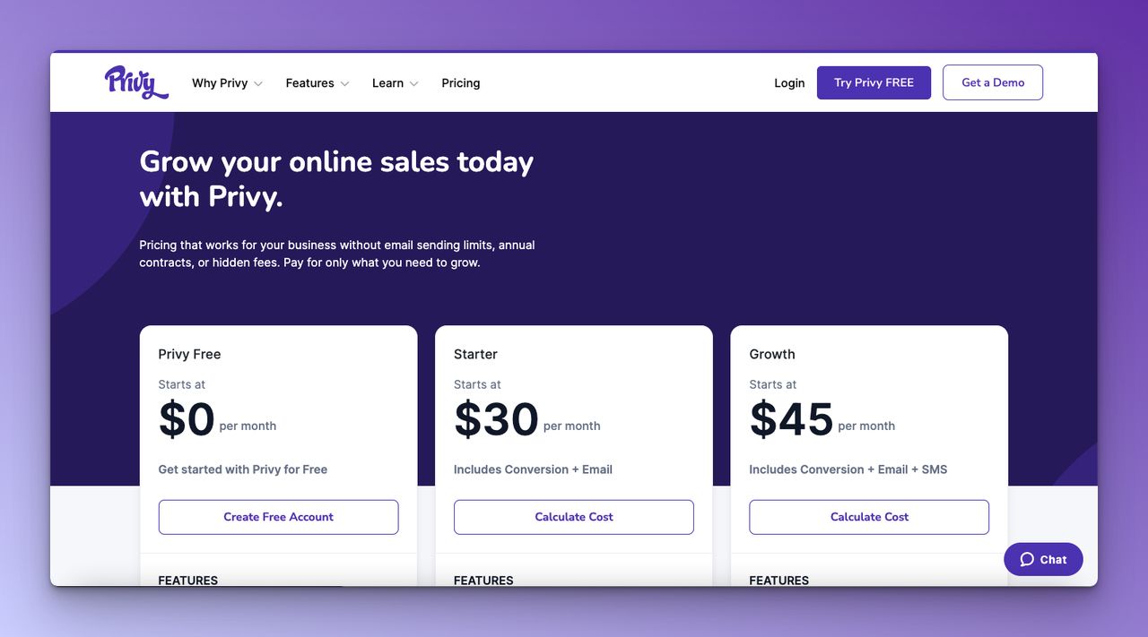 The above-the-fold part of Privy's pricing page