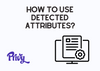 The cover of how to use detected attributes on Privy with an icon and the Privy logo