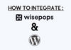 The cover of Wisepops and WordPress integration with their logos and 'How to Integrate' title